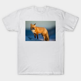 For Fox Sake T-Shirt